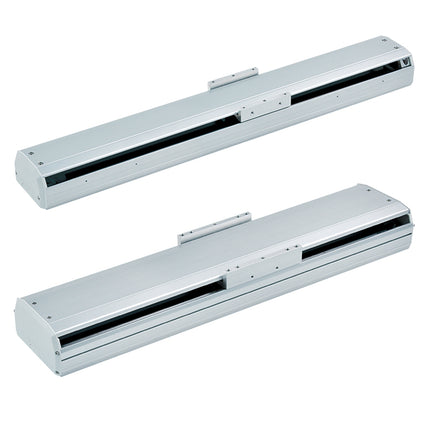 Mindman METS2-10 Series: Slide Table Electric Cylinder - Screw Drive (Without Motor) - METS2-10-L10-650-BL-P40
